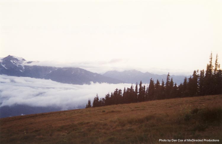 HurricaneRidge02